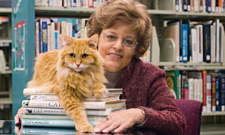 dewey the library cat